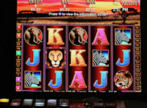 女王赏金赚钱app入口桌面版客户端